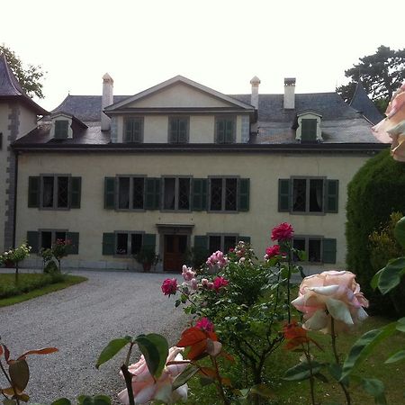 Chateau De Veigy Hotell Exteriör bild
