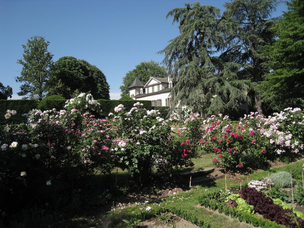 Chateau De Veigy Hotell Exteriör bild
