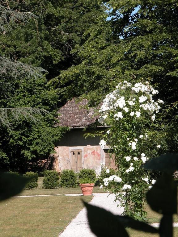 Chateau De Veigy Hotell Exteriör bild