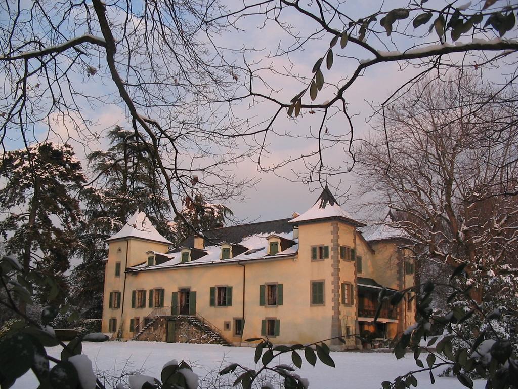 Chateau De Veigy Hotell Exteriör bild